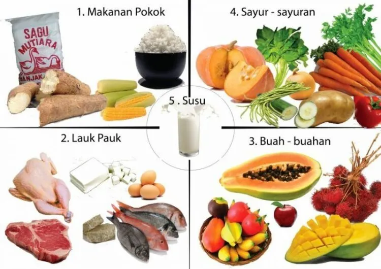 Makan Sehat dengan Buah dan Sayur: Kunci untuk Kehidupan Lebih Sehat dan Berenergi